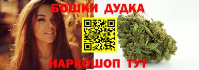 МДПВ Партизанск