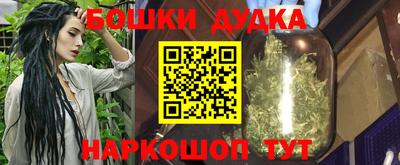 МДПВ Партизанск