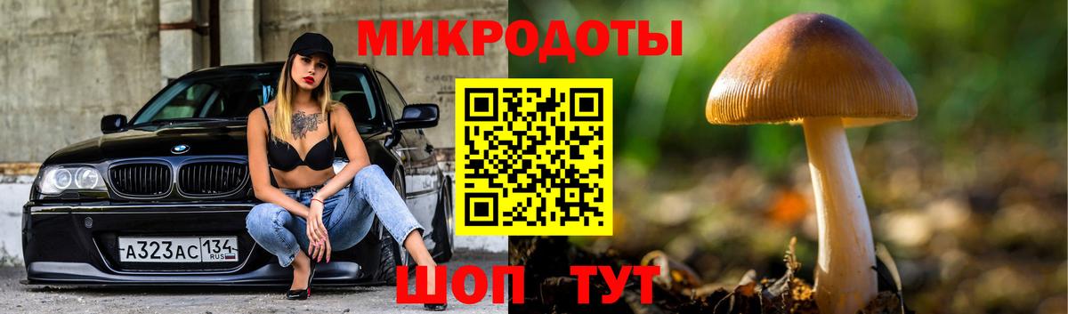 Галлюциногенные грибы MAGIC MUSHROOMS  Вход с VPN  Сосновоборск 